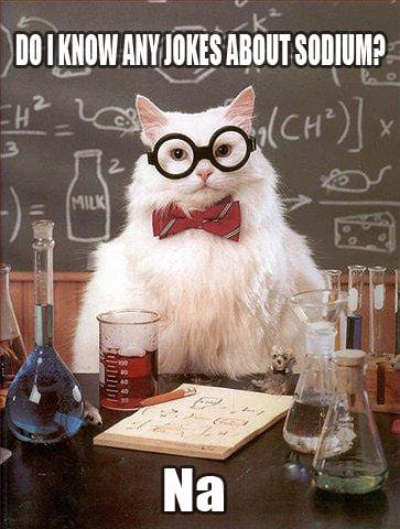 Chemistry Cat Sodium Joke